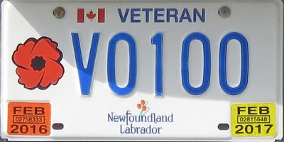 Veteran Newfoundland